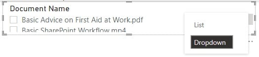 slicer dropdown options Image showing the slicer dropdown options